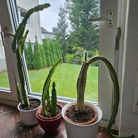 דירה Everyday - Urlaubsparadies Mit 2 Fahrraedern *