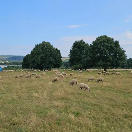 Everyday - Urlaubsparadies Mit 2 Fahrraedern דירה