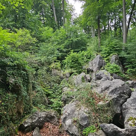 Everyday - Urlaubsparadies Mit 2 Fahrraedern דירה *