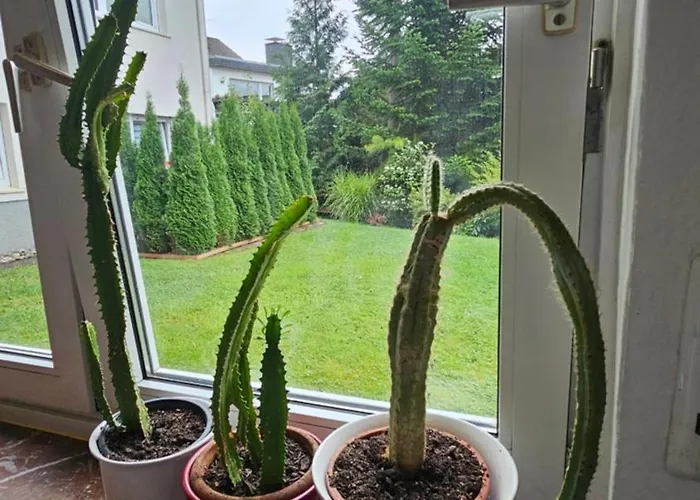 Apartmán Everyday - Urlaubsparadies Mit 2 Fahrraedern *