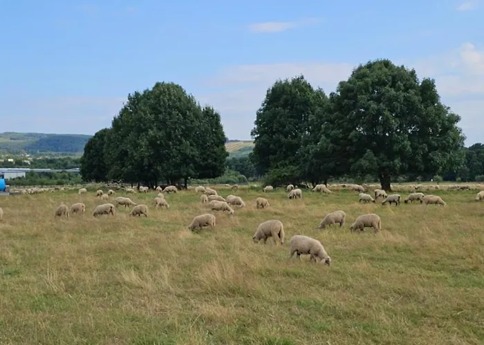 Everyday - Urlaubsparadies Mit 2 Fahrraedern Apartmán